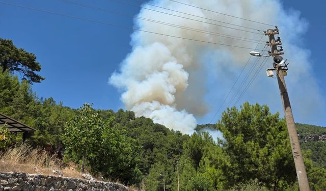 SON DAKİKA: Alanya Tepe Mahallesi’nde Orman Yangını! Helikopterler Havalandı