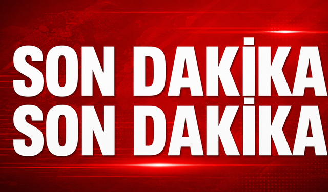Alanya’da lastiği patlayan kamyonet kaza yaptı: 1 ölü