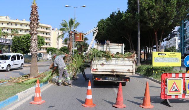 Alanya Belediyesi Park ve Bahçeler Müdürlüğü 7/24 sahada