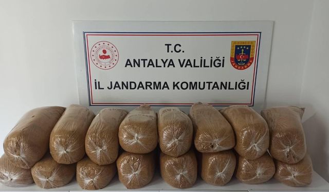 Alanya’da kaçak tütün operasyonu: Kilolarca tütün ele geçirildi