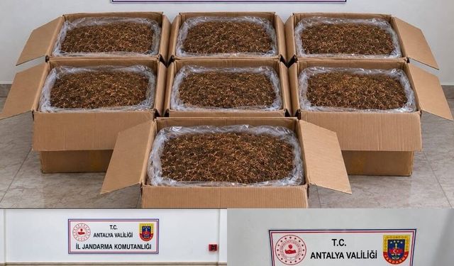 Alanya’da Kaçak Tütün Operasyonu: 210 Kilo Tütün Ele Geçirildi