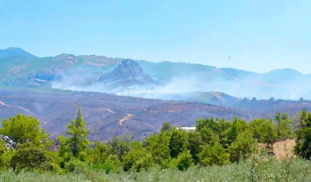 Alanya’da yangınlara karşı yeni dönem: 5 pompalı tanker geliyor