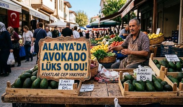 ALANYA’DA AVOKADO LÜKS OLDU!