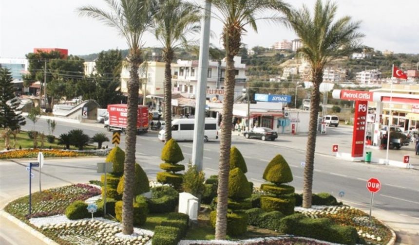 Birbirinden farklı mevsimlik çiçekler ve soğanlı bitkilerle kavşakları renk cümbüşüne dönüştüren Alanya Belediyesi, kavşaklara şık bir görüntü verdi.