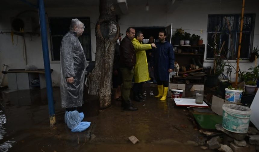 Saatteki hızı 45 kilometreyi bulan rüzgar şiddetini arttırırken Konyaaltı Sahili&#039;nde bulunan palmiye ağaçları da rüzgarın etkisiyle sallandı. Sahilin Varyant kısmında bulunan bazı ağaçlar ise devrildi. Şimşeklerin çakmasıyla aydınlanan sahilde rüzgarın da etkisiyle dev dalgalar oluştu.