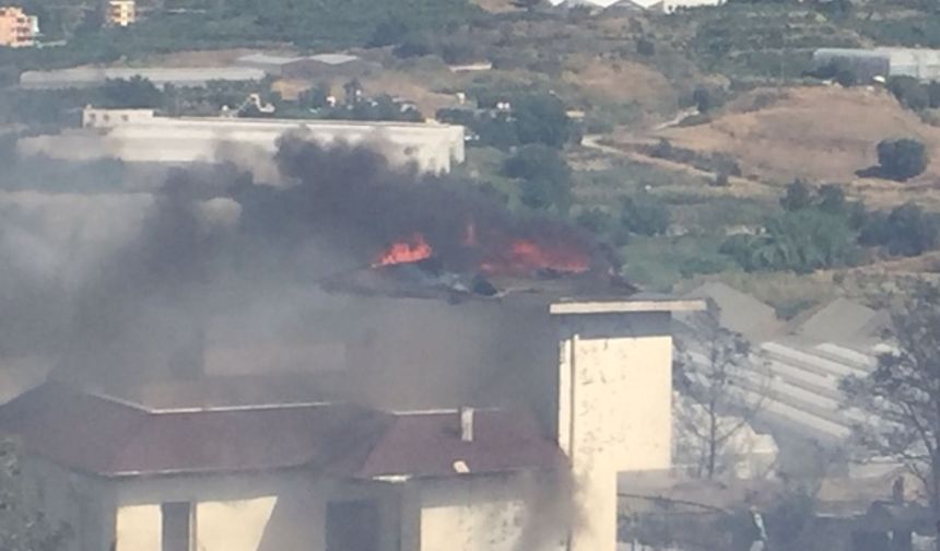 Alanya Kargıcak mahallesi sahil şeridinde yangın çıktı