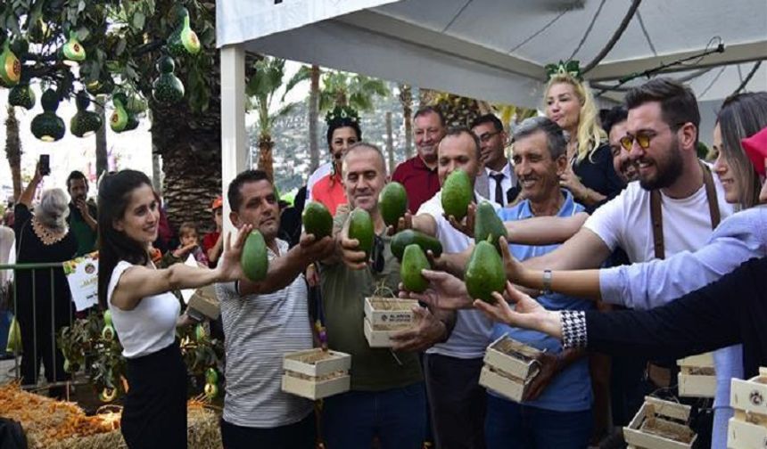 Alanya'da Tropikal Meyve Üretimi Büyüyor