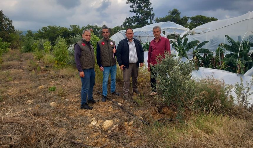 Alanya’da Yoğun Yağış ve Fırtına Sonrası Tarım Alanlarında Hasar Tespiti Yapıldı