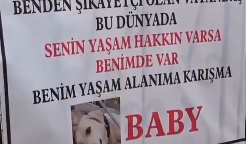 “Bu Dünya Hepimizin”: Alanya’da Köpek Sahibi Komşularına Seslendi