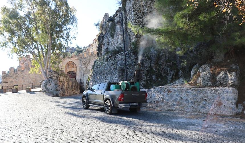 Çam Kese Böceğine Karşı Kimyasalsız Çözüm: Alanya Belediyesi'nin Yeni Yöntemi