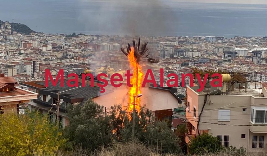 Alanya Seyir Terasında Yangın Paniği: Villalar Tehlike Atlattı!