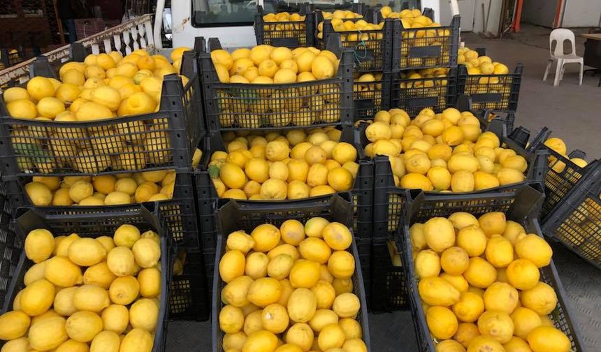 FLAŞ! Ticaret Bakanlığı Duyurdu: Limon Satışı Yurt Dışına Yasaklandı