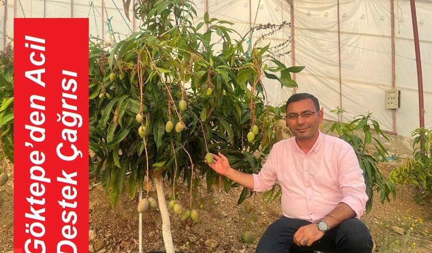 Tarımda Don Alarmı: Göktepe’den Acil Destek Çağrısı