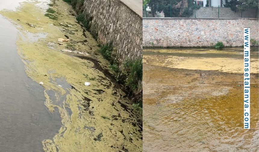 Dim Çayı’nda Tehlike Çanları: Berrak Su Yerini Kirliliğe Bıraktı