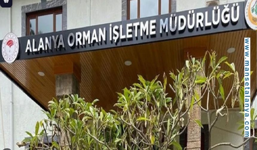Alanya Orman İşletme Müdürlüğü'nden Büyük İhale: 88 Ürün Satışa Çıkıyor