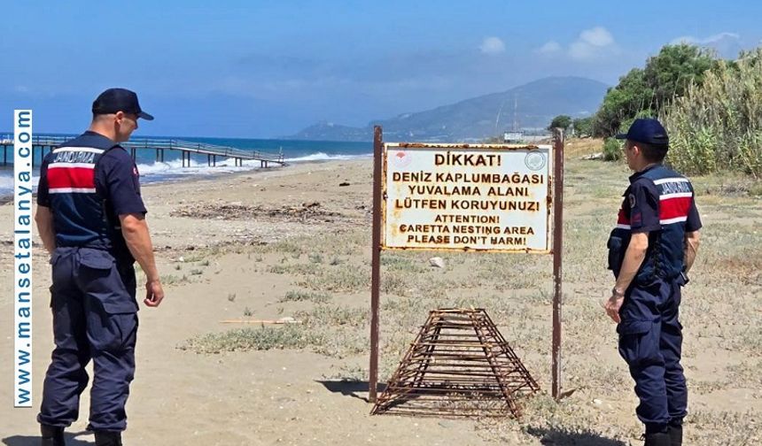 KAPLUMBAĞALAR İÇİN ALANYA'NIN DEMİRTAŞ SAHİLLERİNE GECE YASAĞI