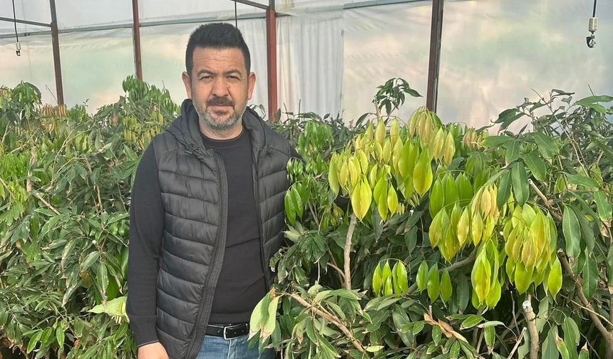 Alanya’da hal kavgası büyüyor: “CHP önce rakamları doğru bilsin”