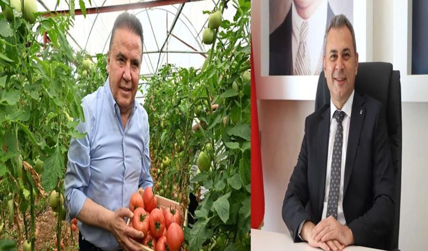 Tavlı’dan Böcek’e Sert Eleştiri: “Yeni Hal Projesinde Sınıfta Kaldı”