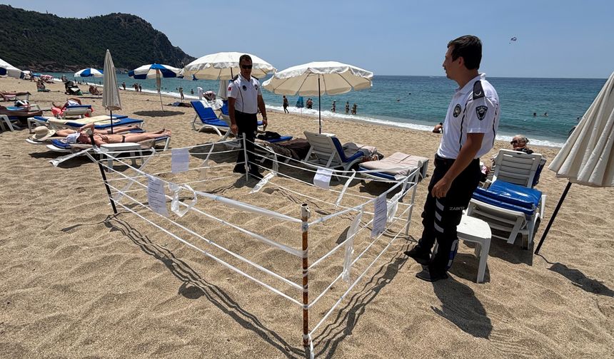 Sabaha Karşı Geldi, Yumurtladı… Azak Beach Hotel Duyarlılığıyla Örnek Oldu