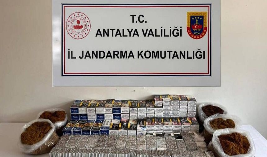 Jandarmadan Kaçak Tütüne Geçit Yok! Alanya’da Büyük Baskın