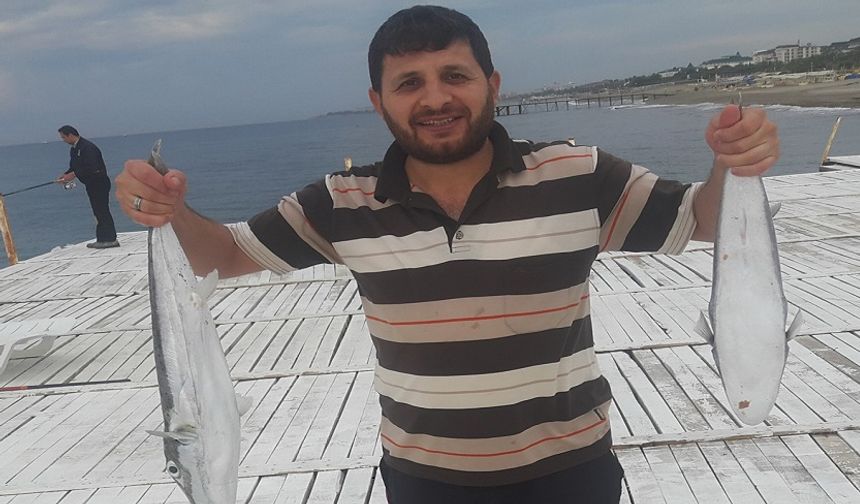 Küresel Isınma Balon Balıklarının Yayılışını Hızlandırıyor