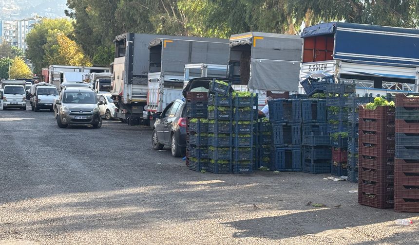 Alanya’da Oteller Boş, Halde ürünler çöpe dökülüyor. Kötü Haberler Zirvede