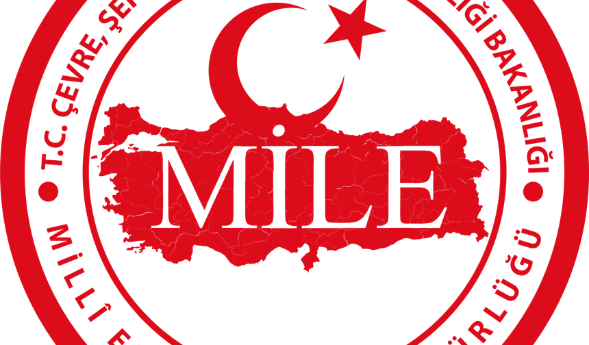 Milli Emlak Alanya’da 4 Dönüm Arazi Satıyor. İşte fiyatı ve yeri