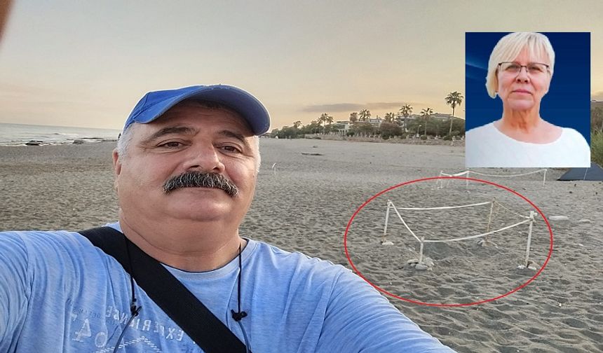 Alanya sahillerinde caretta caretta yavruları denizle buluşuyor