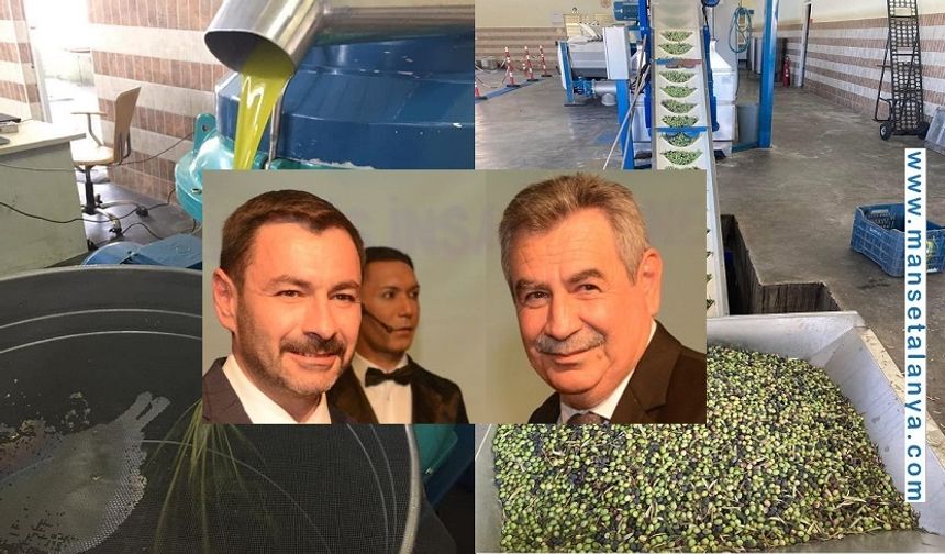 Zeytinyağına Uzanan Yol: Alanya’da Hasat Bereketle Değil, Umutla Başladı