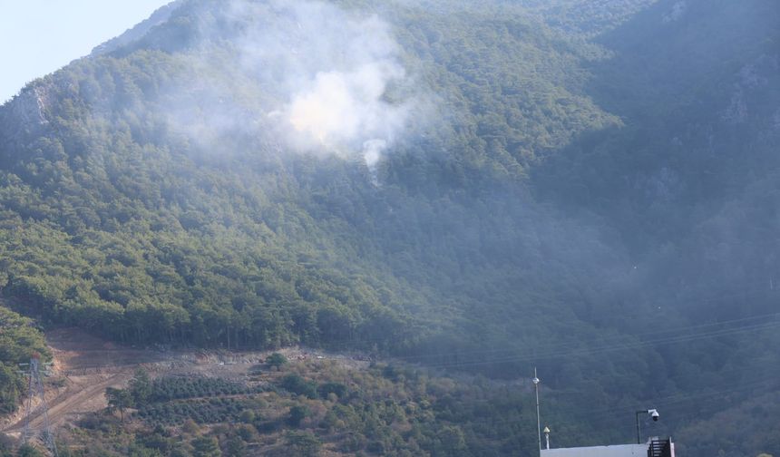ALKÜ Üstü ve Dim Mağarası Civarında Orman Yangını Başladı