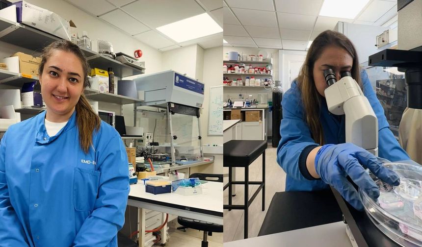 Parkinson’un erken sinyalleri Alanya’da çözülüyor: Bağırsak–beyin hattı ‘çip’ ile mercek altında