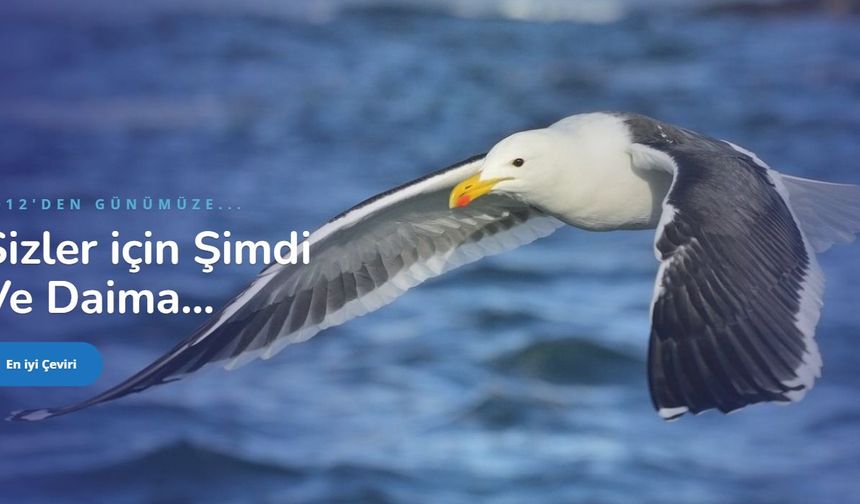 Rusça Çeviri Fiyatları 2026: Ticari Belgeler ve Pasaport Çeviri Ücretleri