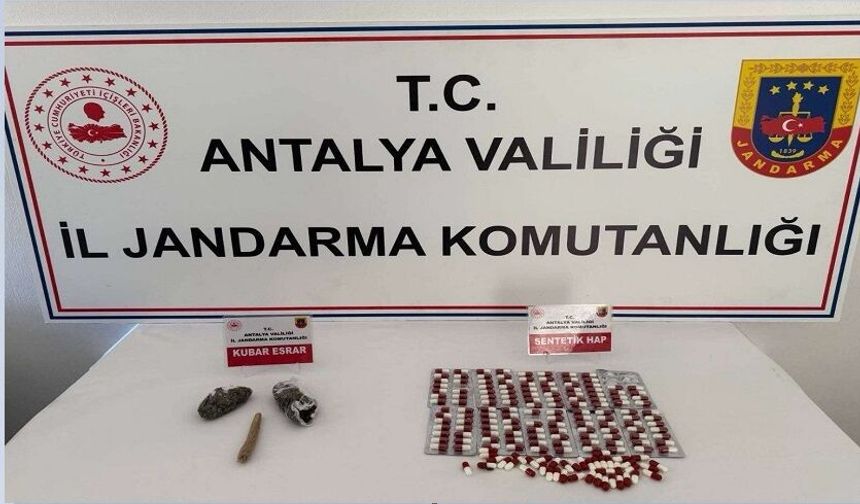 Gazipaşa’da Jandarmadan Uyuşturucu Darbesi: 9 Şüpheliye Geçit Yok