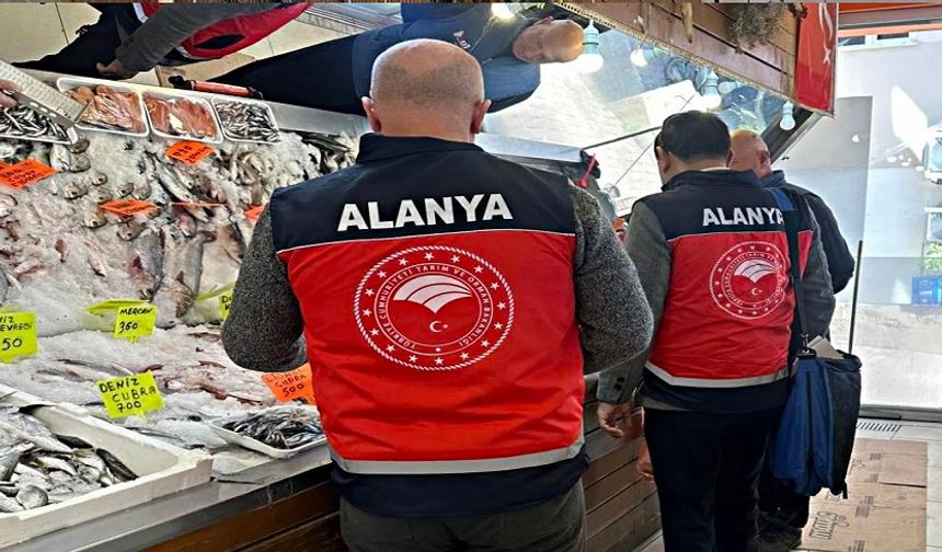 Alanya’da Balık Satan İşletmelere İnce Ayar Denetim