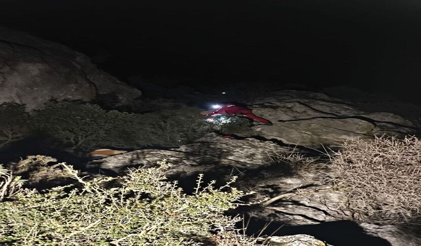 Alanya’da Kayalıklarda Can Pazarı!