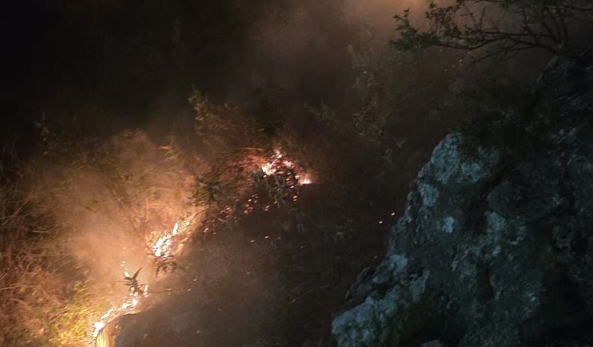 SON DAKİKA | Alanya’da Orman Yangını Paniği: Yeni Hükümet Konağı Üstündeki Alevler Söndürüldü