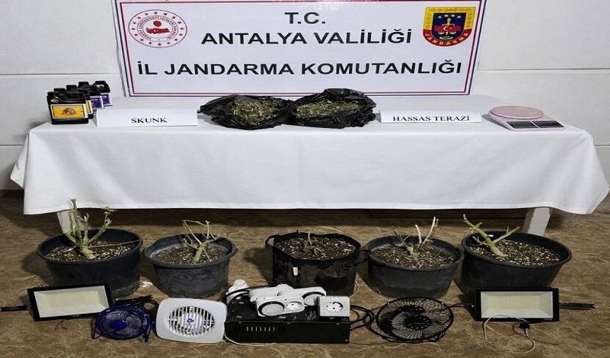 Serada Uyuşturucu Üretimine Jandarma Baskını!
