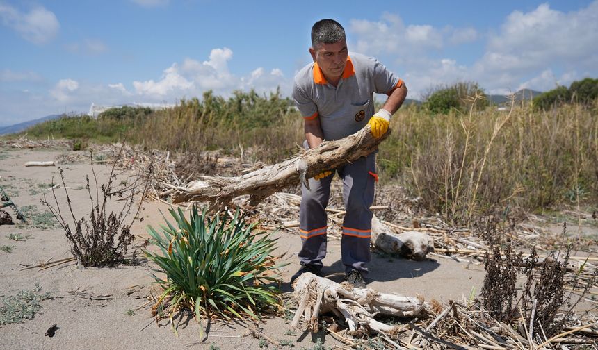 ALANYA DEMİRTAŞ’TA ÖYLE BİR ŞEY OLDU Kİ… CARETTA’LAR VE ZAMBAKLAR RAHATLADI!