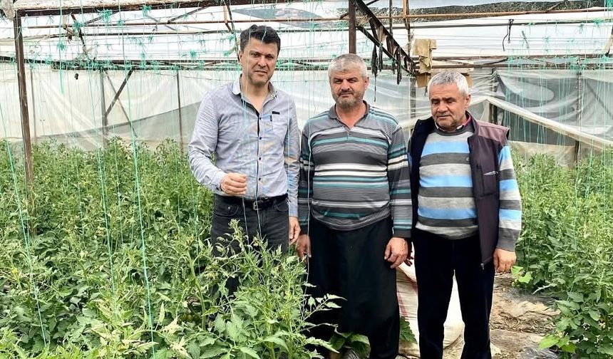 Özçelik’ten Üretici İçin 10 Maddelik Yol Haritası: “Alanya Tarımda Lojistik Üs Olabilir”