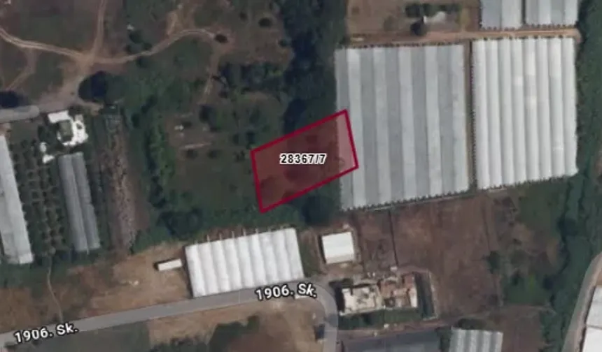 Alanya’da dev Hazine arazisi satışta: Kestel’de 24 dönümlük alan yatırımcıya açıldı