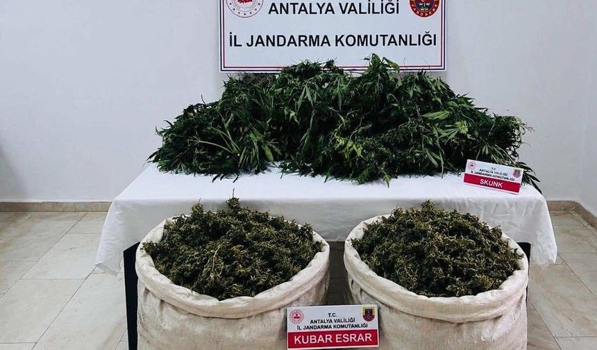 Uyuşturucu Operasyonu: Ev ve Arazide Şoke Eden Miktar