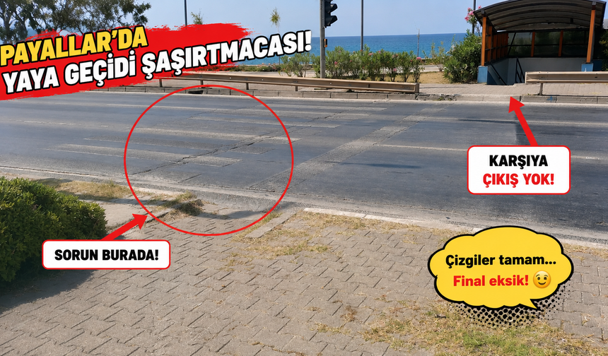 Payallar’da Yaya Geçidi mi, Survivor Parkuru mu?
