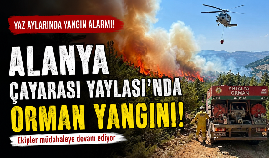 SonDakika :  Çayarası Yaylası Alevlere Teslim Oldu, Ekipler Zamana Karşı Yarışıyor