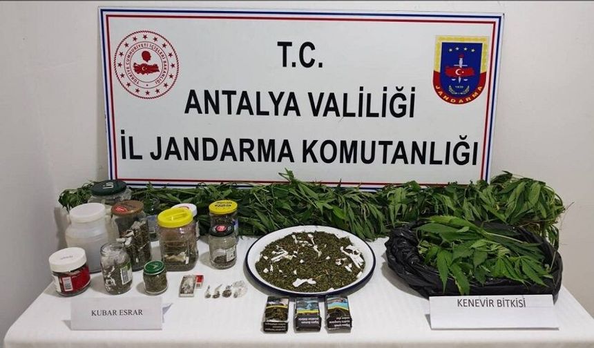 Uyuşturucuyla Mücadelede Yeni Operasyon