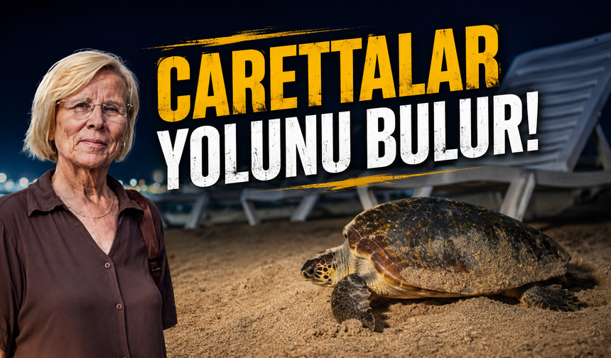 Gece Sahilin Gerçek Sahipleri Geliyor! Flaş Açmayın, Uzaktan İzleyin