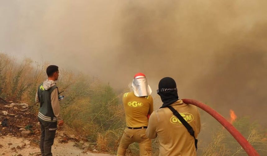 Alanya Alarmda! Yangın Beldibi İstikametine İlerliyor