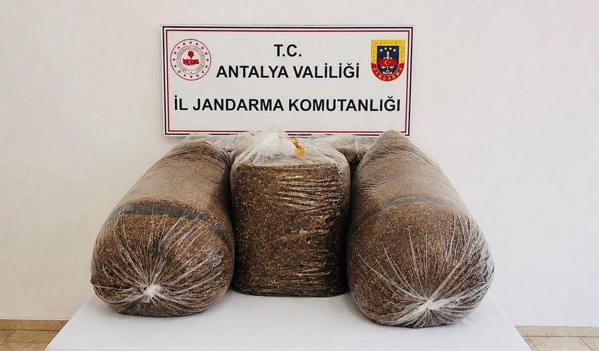 Kaçak Tütün Operasyonu: 365 Kilo Tütün Ele Geçirildi