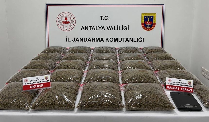 Uyuşturucu operasyonu: 13 şüpheli gözaltında