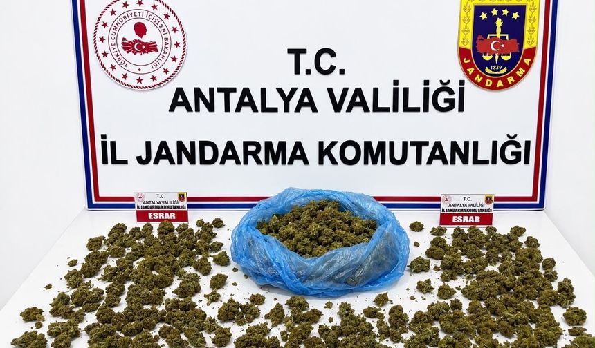 Alanya’da Uyuşturucu Operasyonu: 745 Gram Esrar Ele Geçirildi