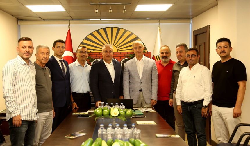 Alanya Avokadosu Avrupa’ya Göz Kırptı: Yeşil Altın AB Yolunda!